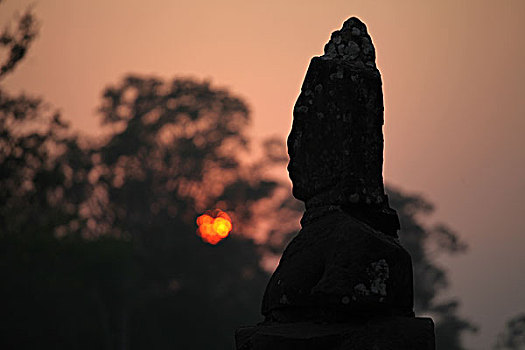 soi cau rong bạch kim