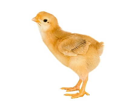 dự đoán xổ số miền nam ngày mai