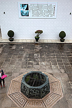 cầu bạch thủ long an