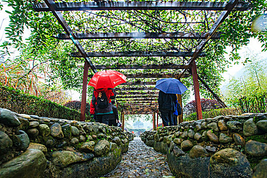 xổ số quảng bình