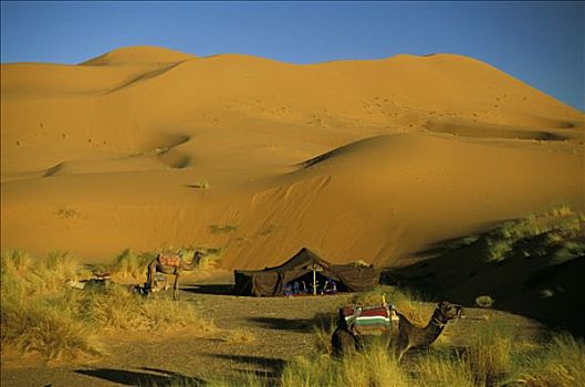 thống kê xổ số khánh hòa