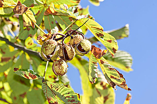 du doan xsmb đại phát
